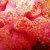 JPEG_2007
